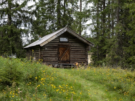 Cedar Cabin